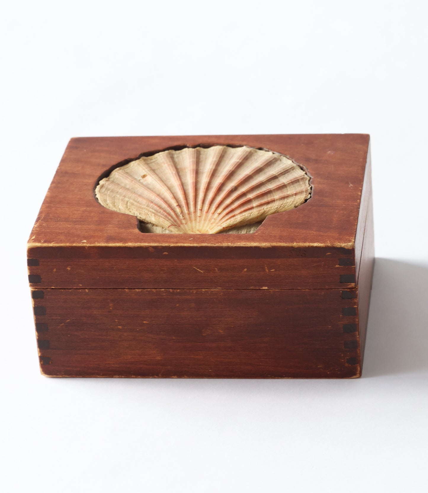 RARE 2000s Wooden Shell Box