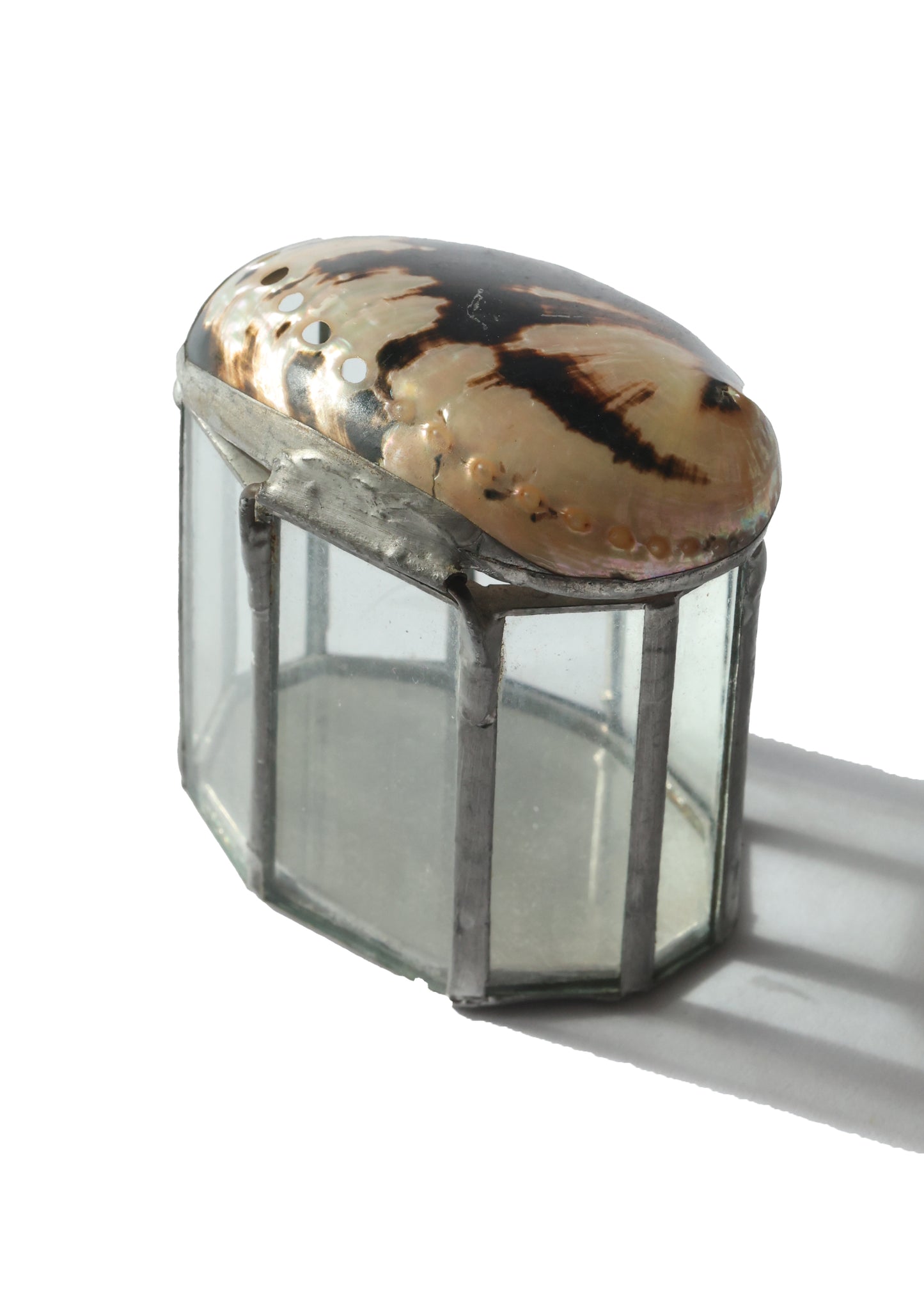 Abalone Shell Glass Box