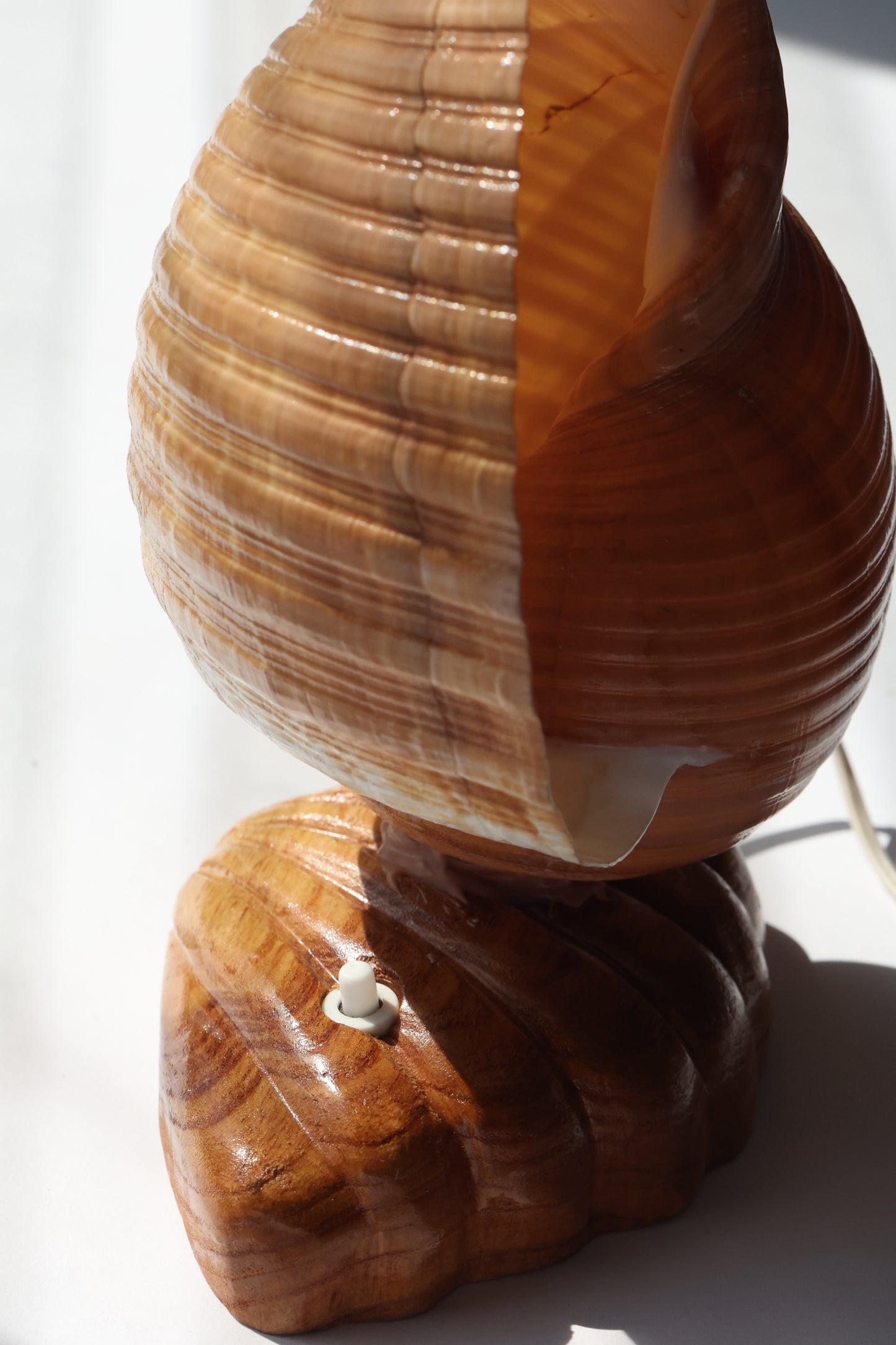 Vintage Giant Tonna Shell Lamp