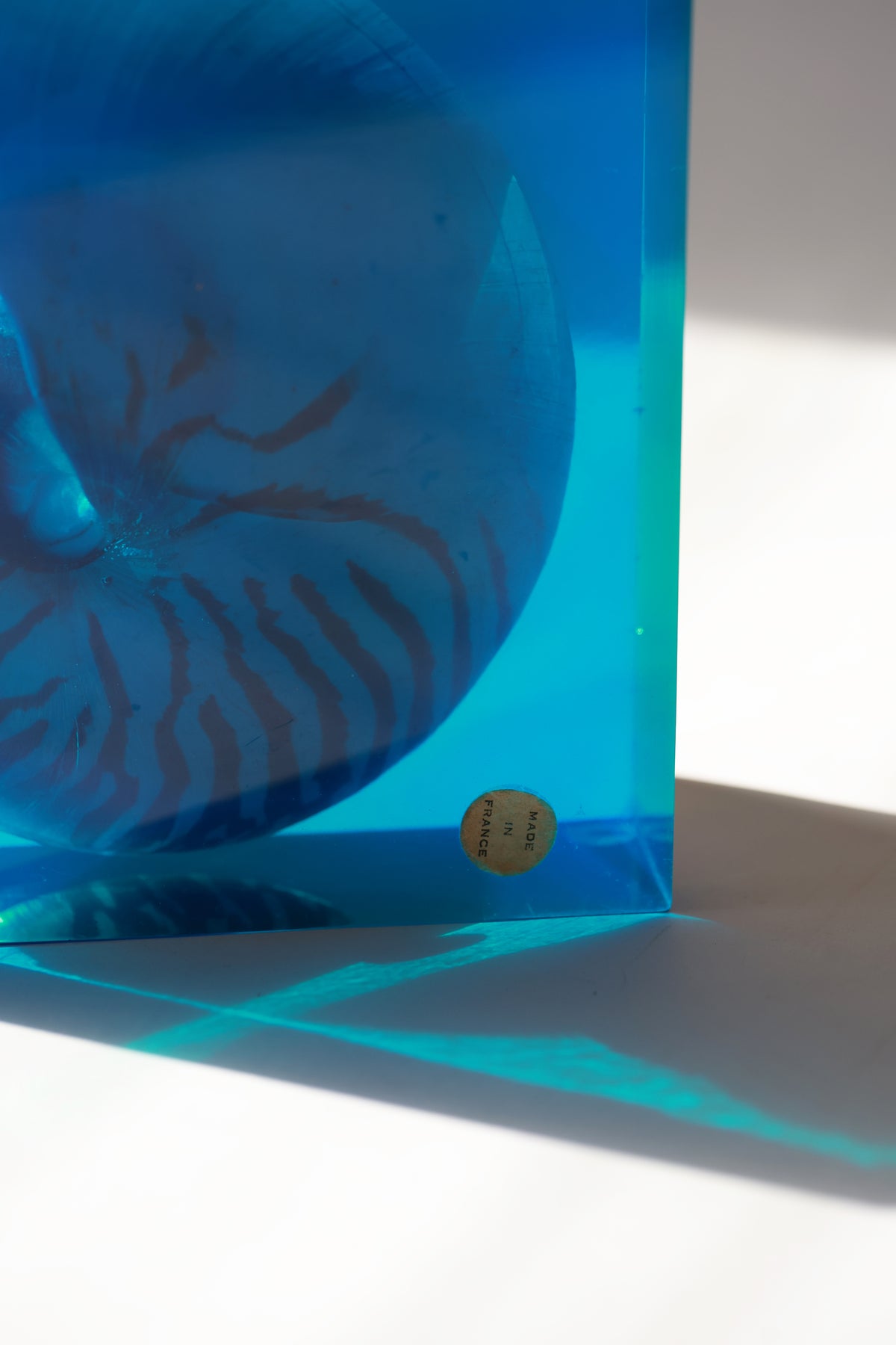 Vintage French Nautilus Shell Block