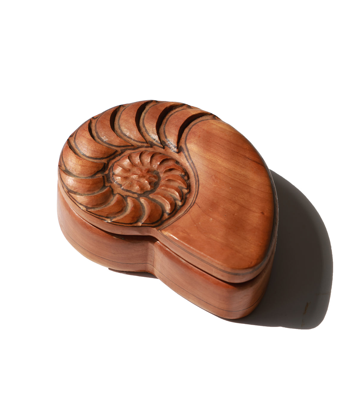 Vintage Nautilus Shell Wooden Keepsake Box