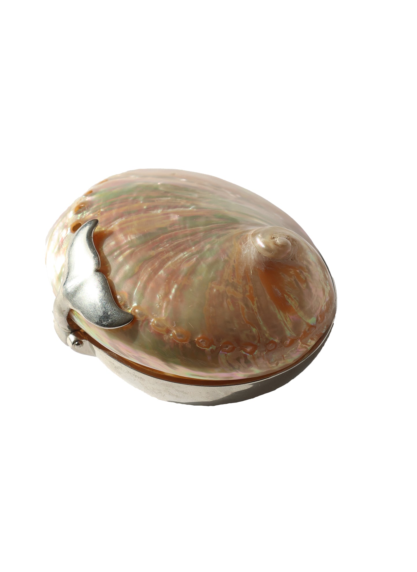 RARE 1990s Whale Tail Abalone Shell Box