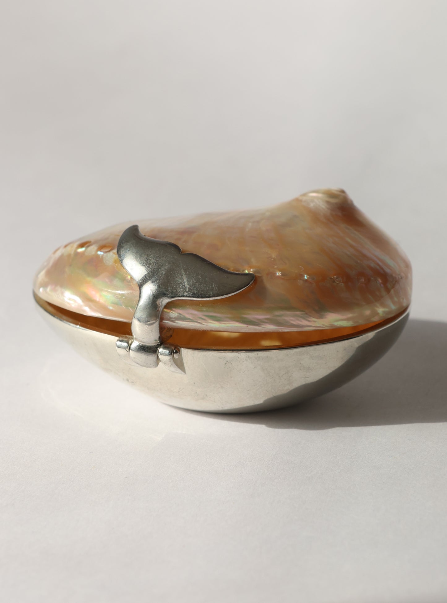 RARE 1990s Whale Tail Abalone Shell Box