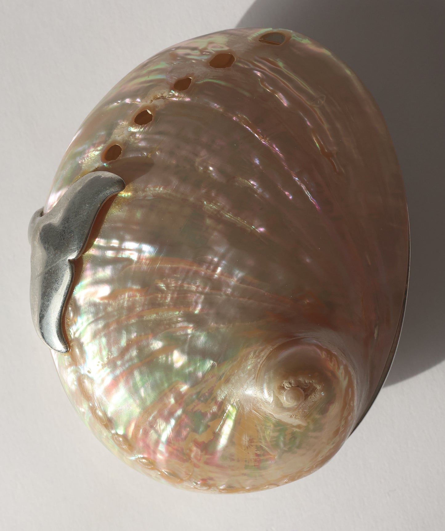 RARE 1990s Whale Tail Abalone Shell Box