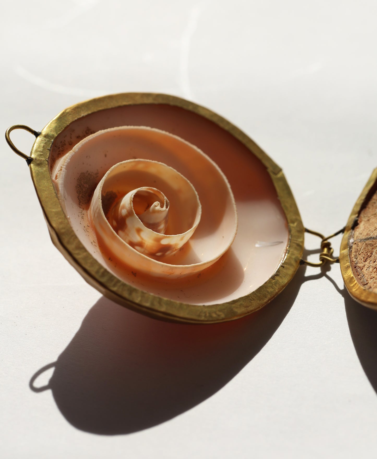 Spiral Shell Stash Box