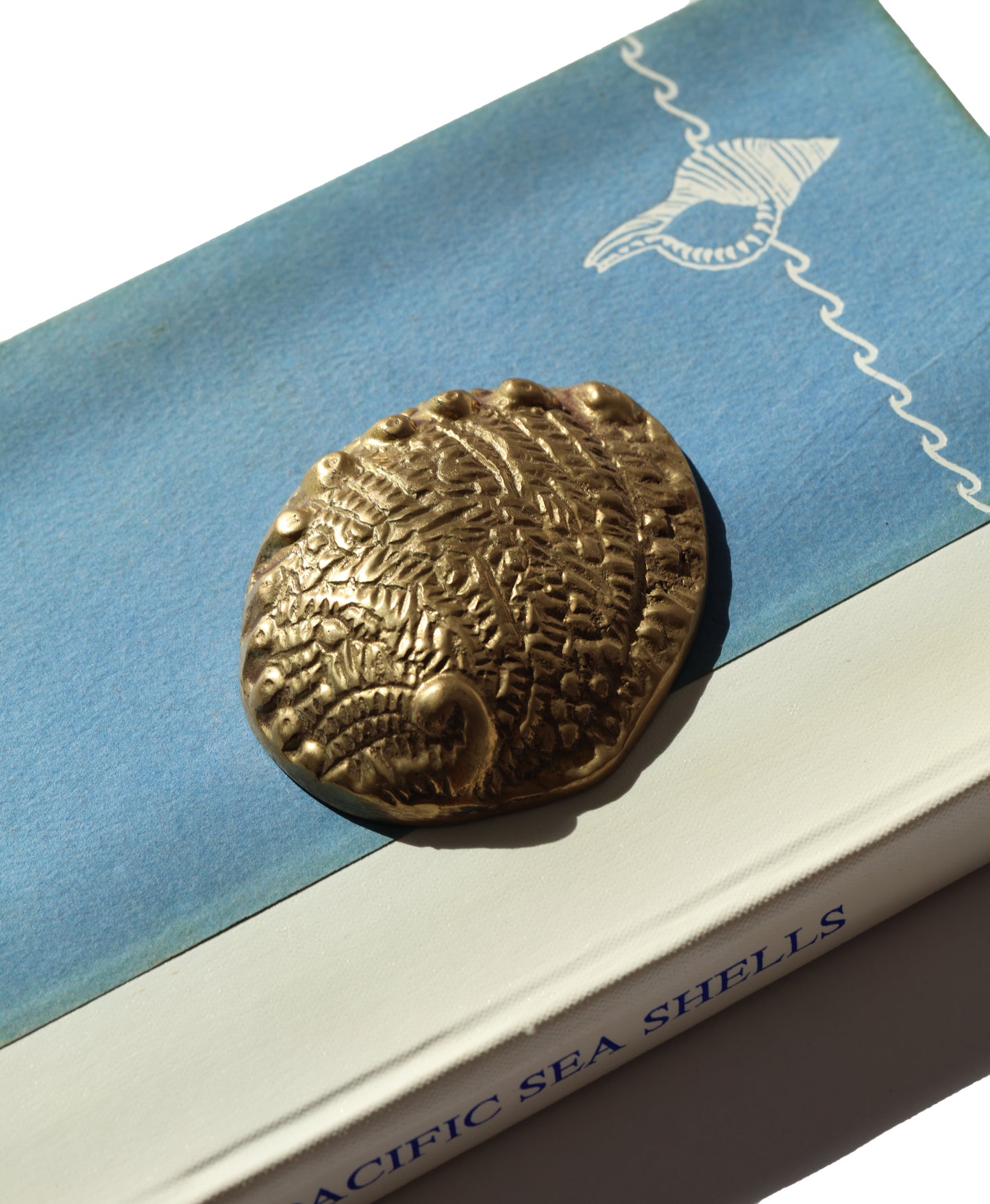 Vintage Brass Abalone Shell