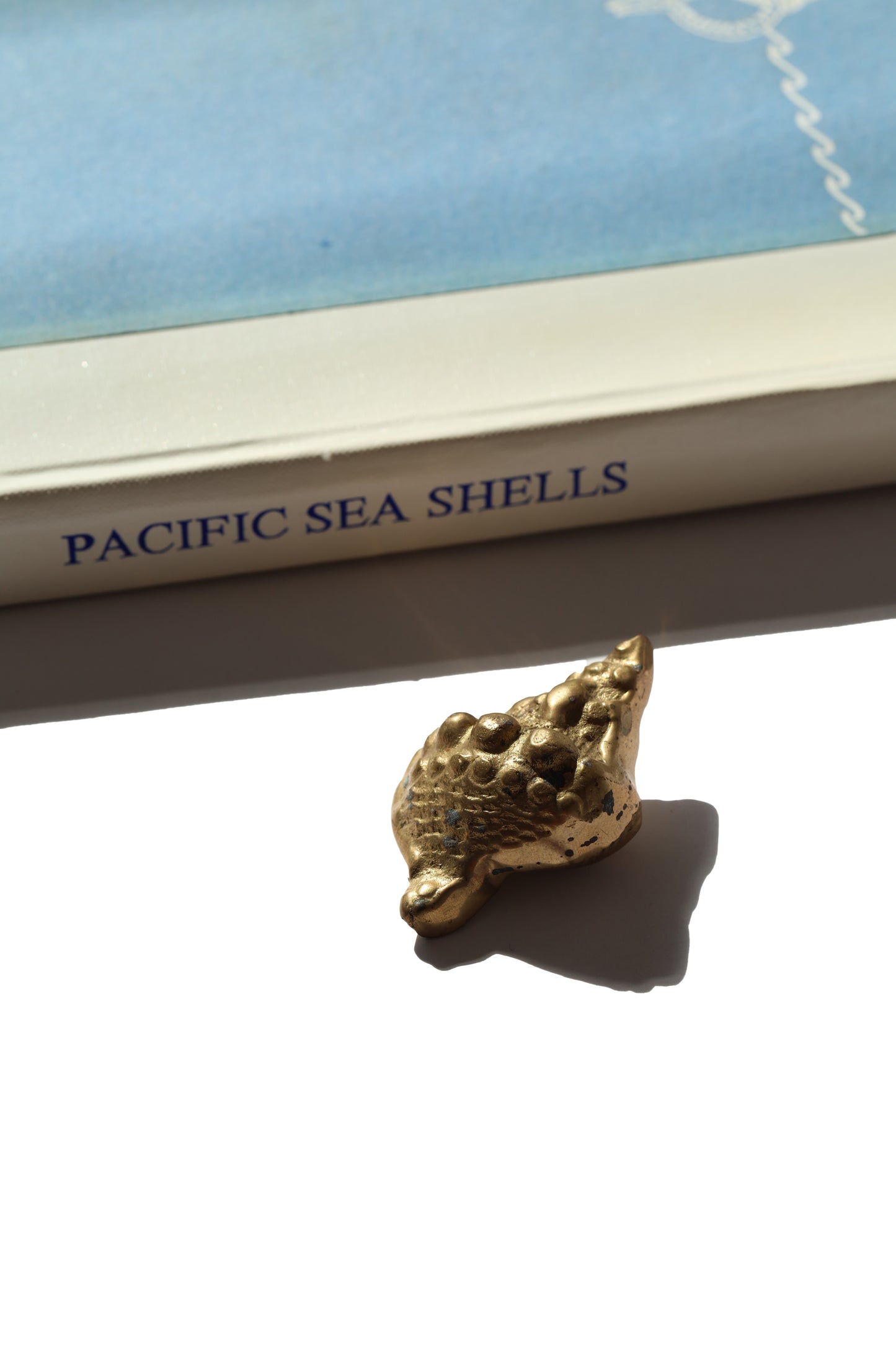Vintage Brass Triton Shell