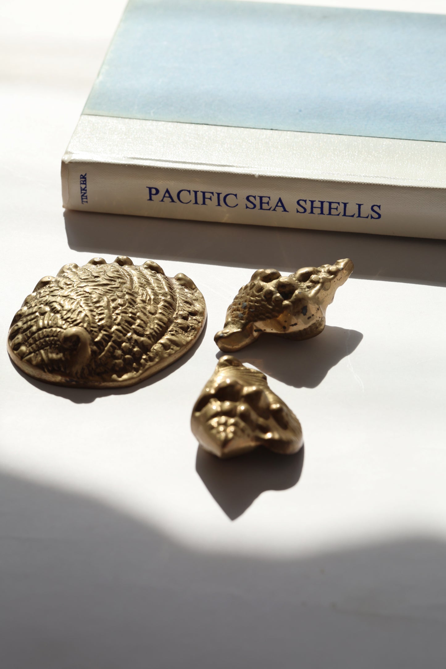 Vintage Brass Triton Shell