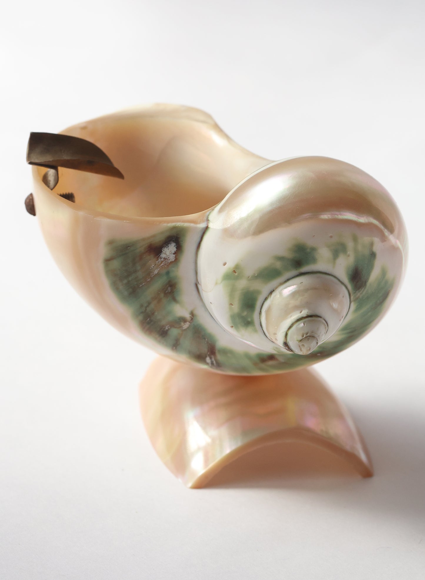 1980s Turbo Shell Ashtray