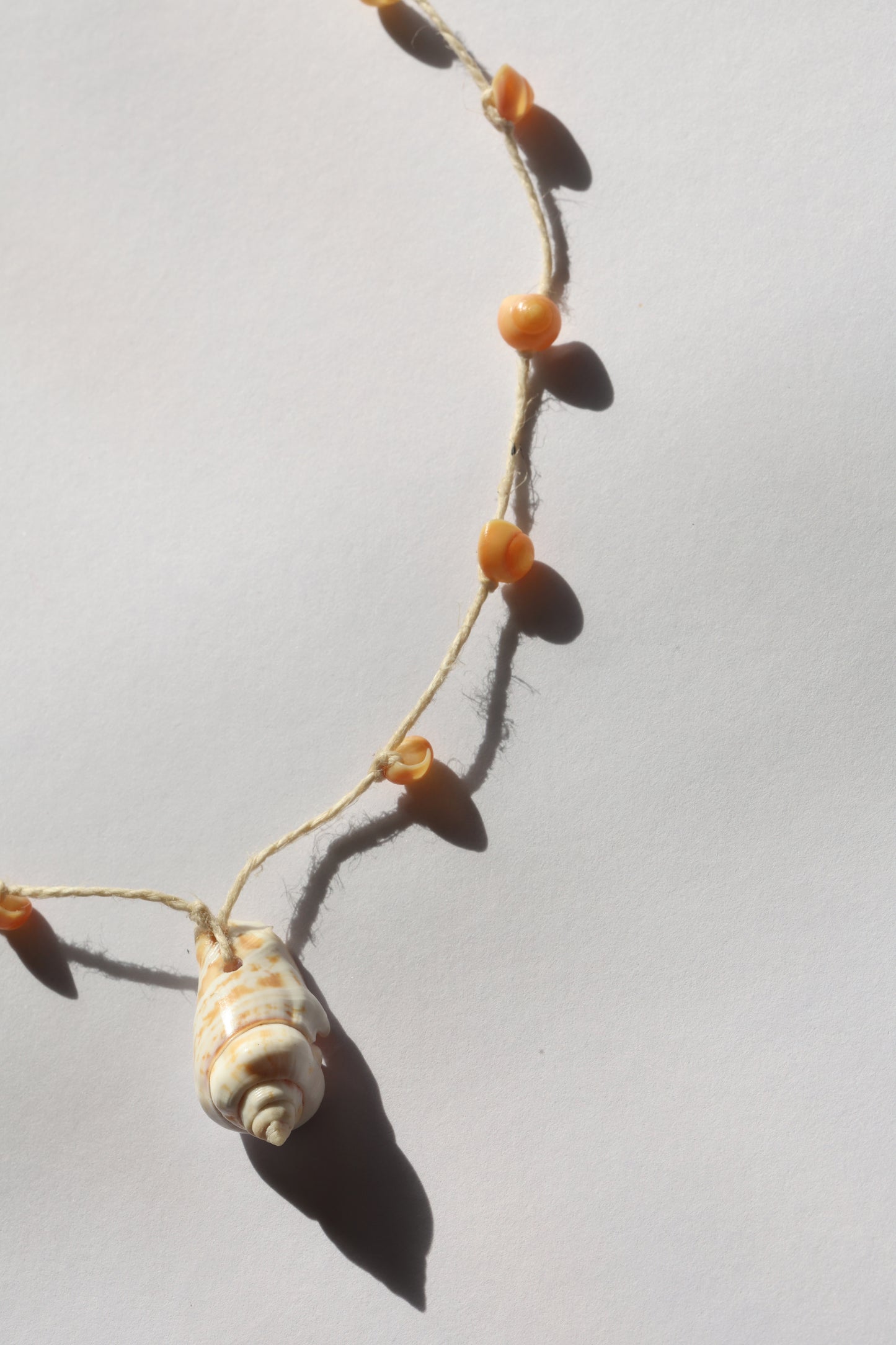 One of A Kind Shell Necklace