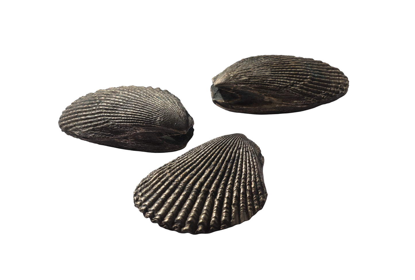 1980s Pewter Clam Shell Trio