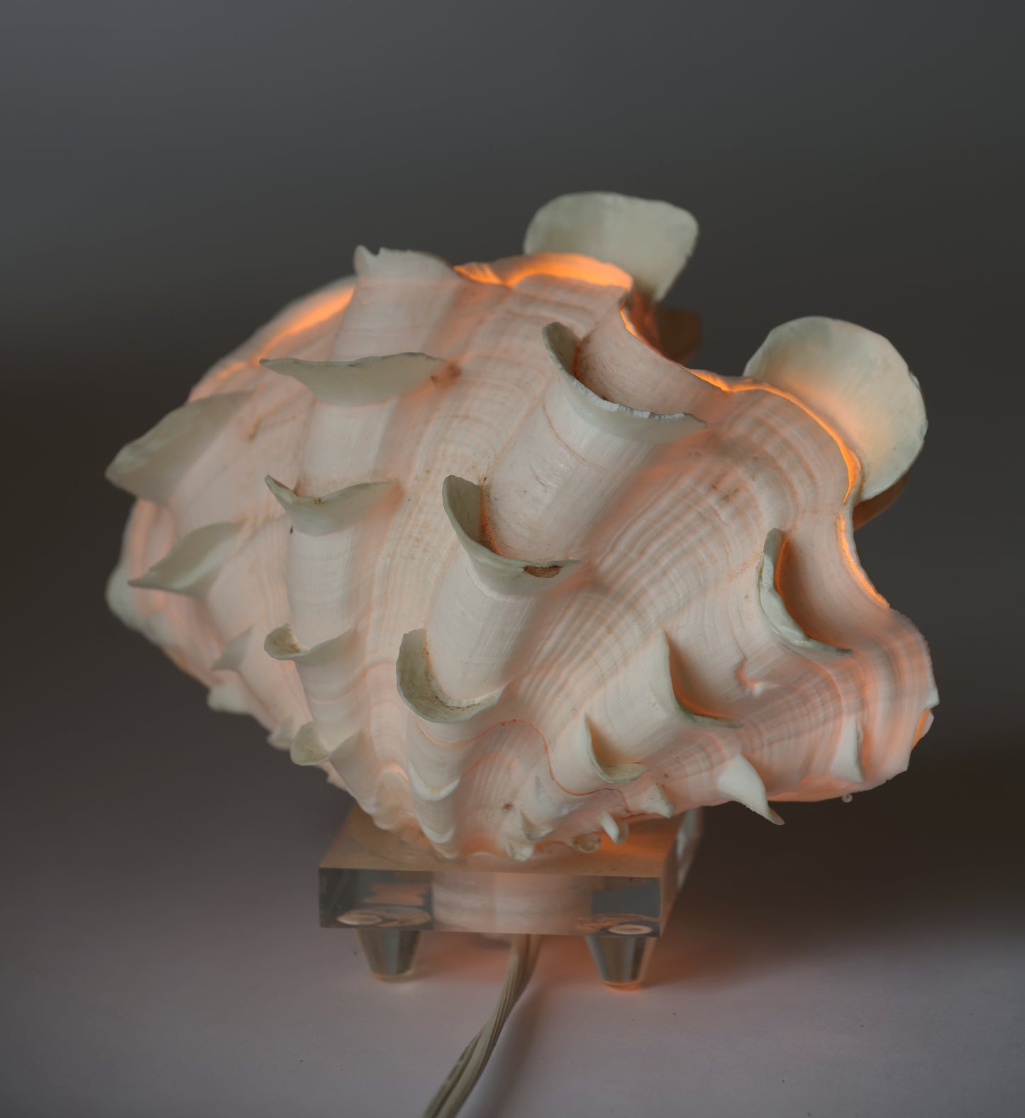 Antique Ruffle Clam Shell Lamp