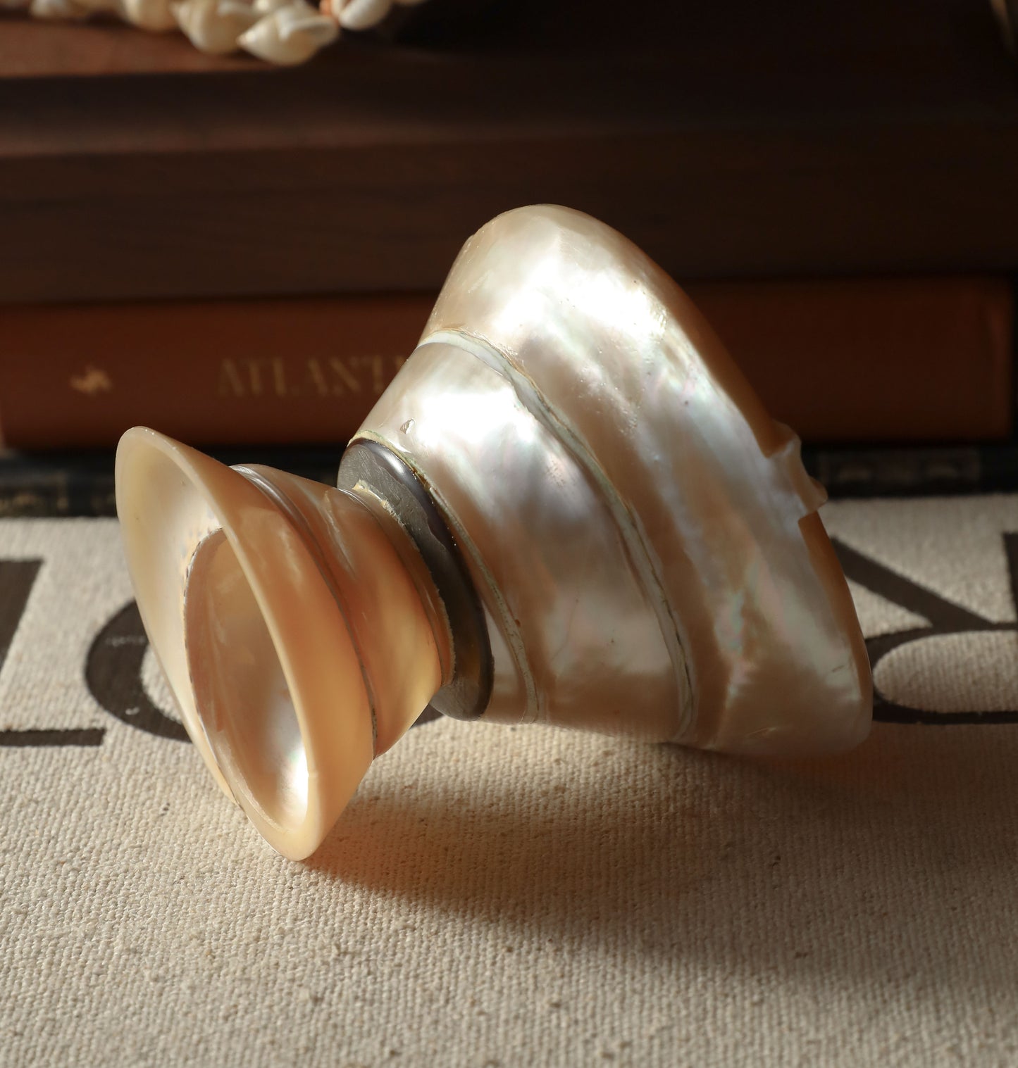 Vintage Turbo Shell Ashtray