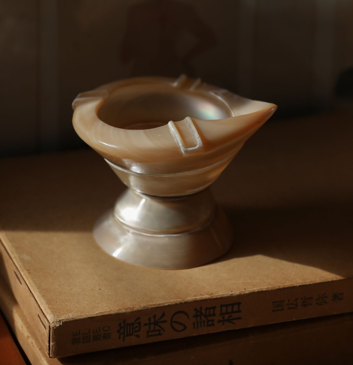 Vintage Turbo Shell Ashtray