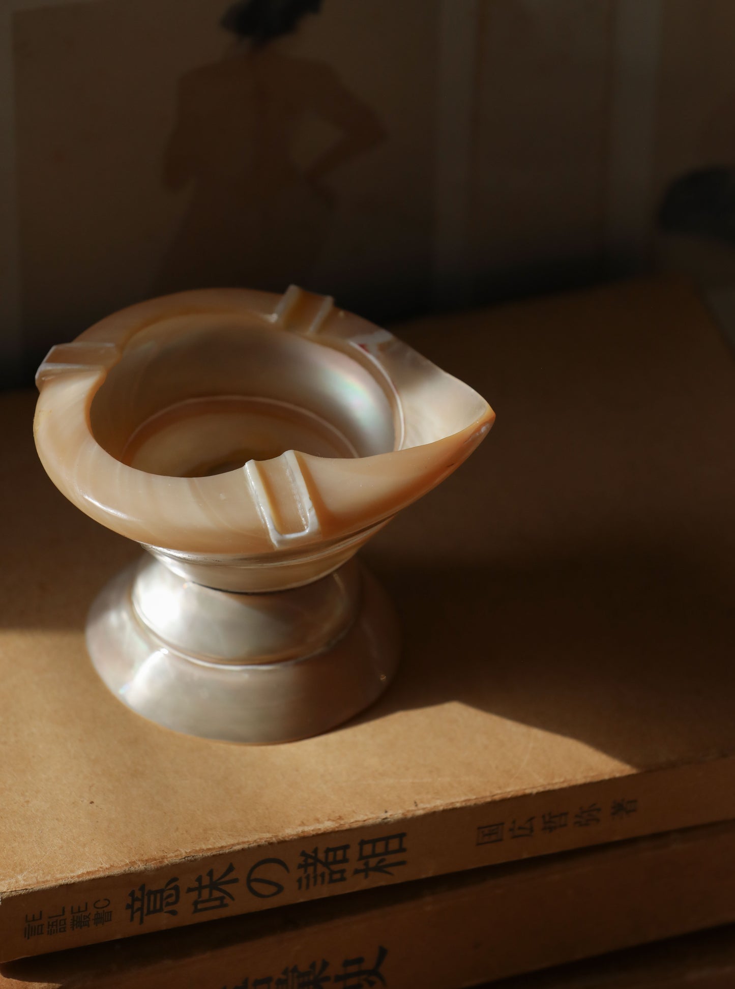 Vintage Turbo Shell Ashtray