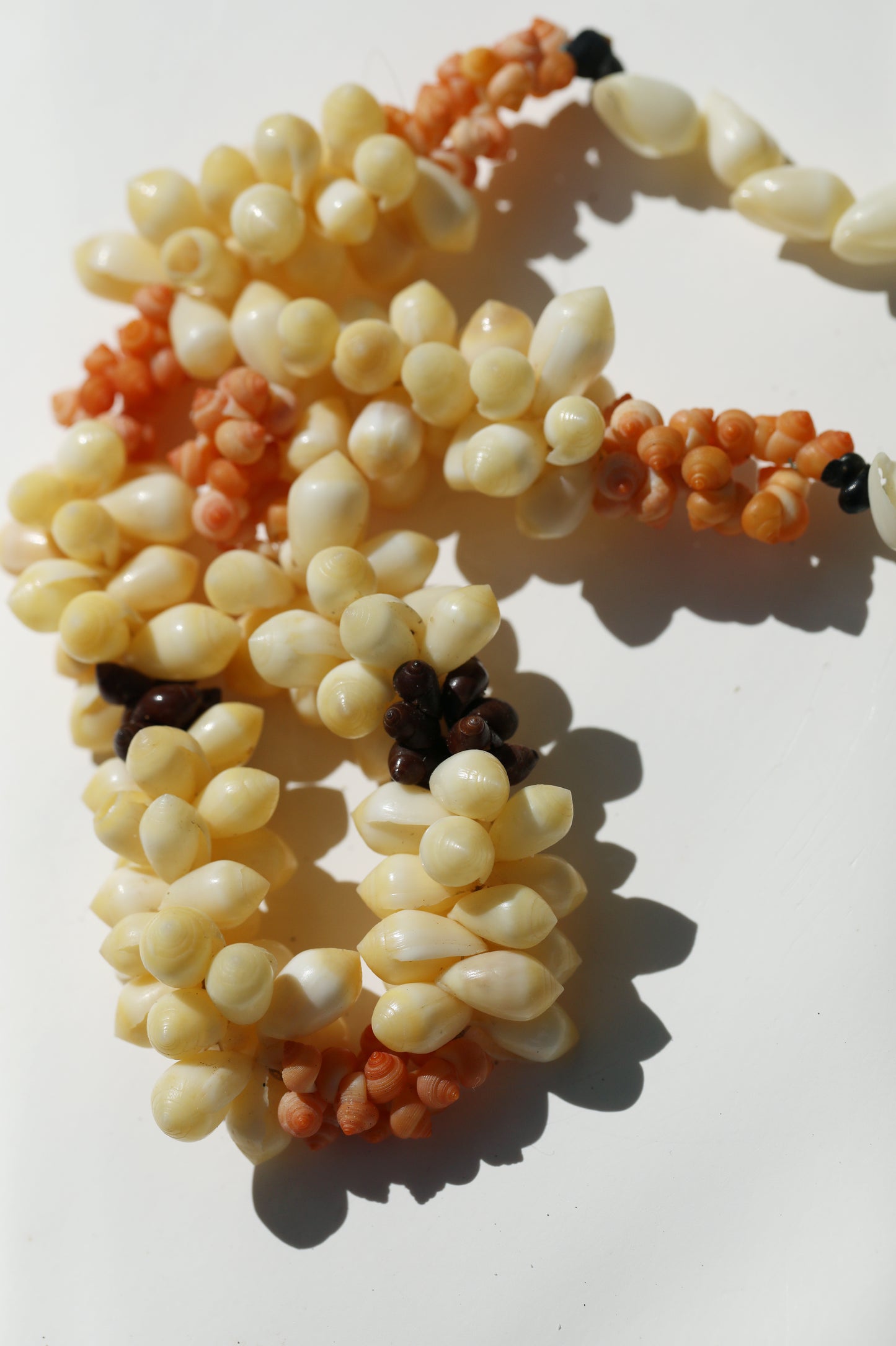 RARE Tahitian Cone Shell Arrangement Necklace
