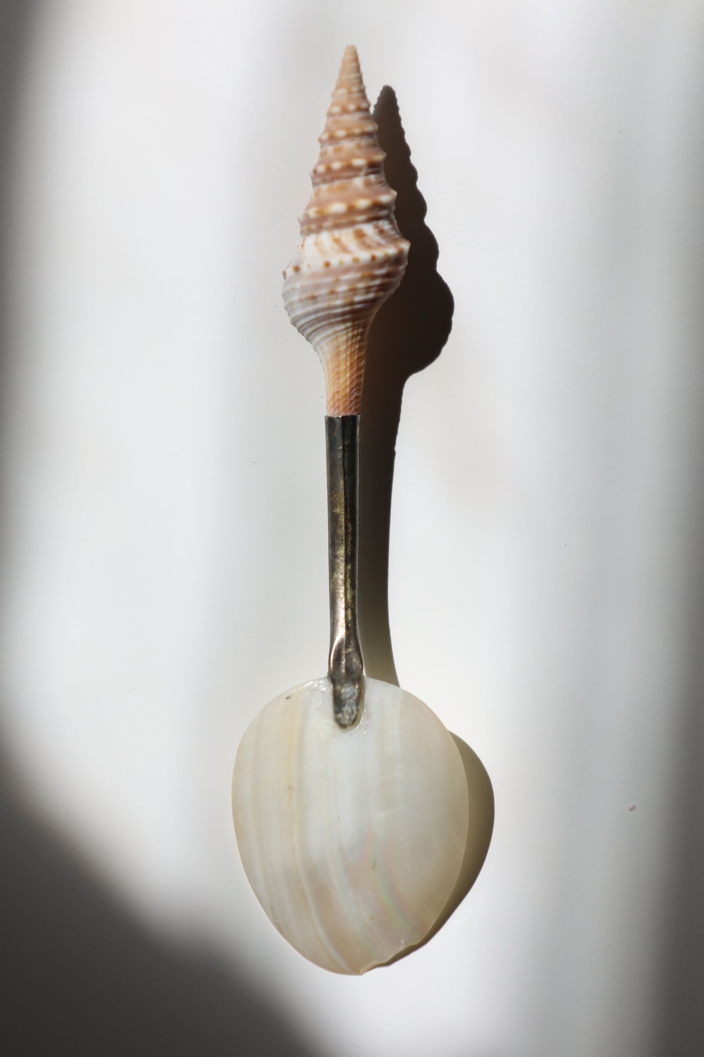 Vintage Sea Shell Handle MOP Spoon