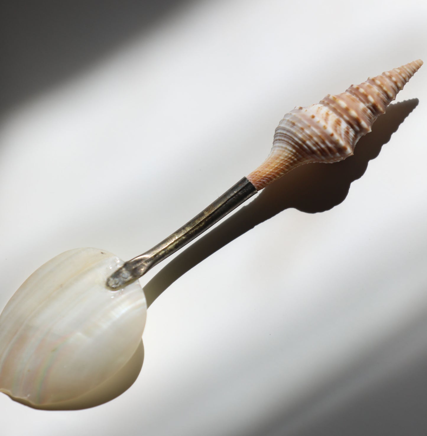 Vintage Sea Shell Handle MOP Spoon