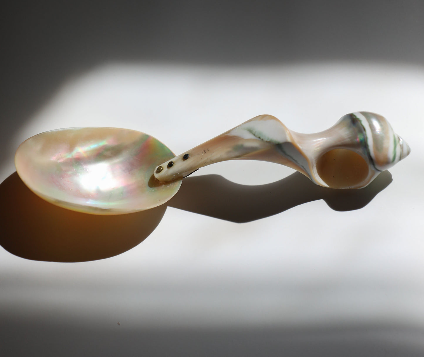 Vintage Turbo Shell Serving Spoon