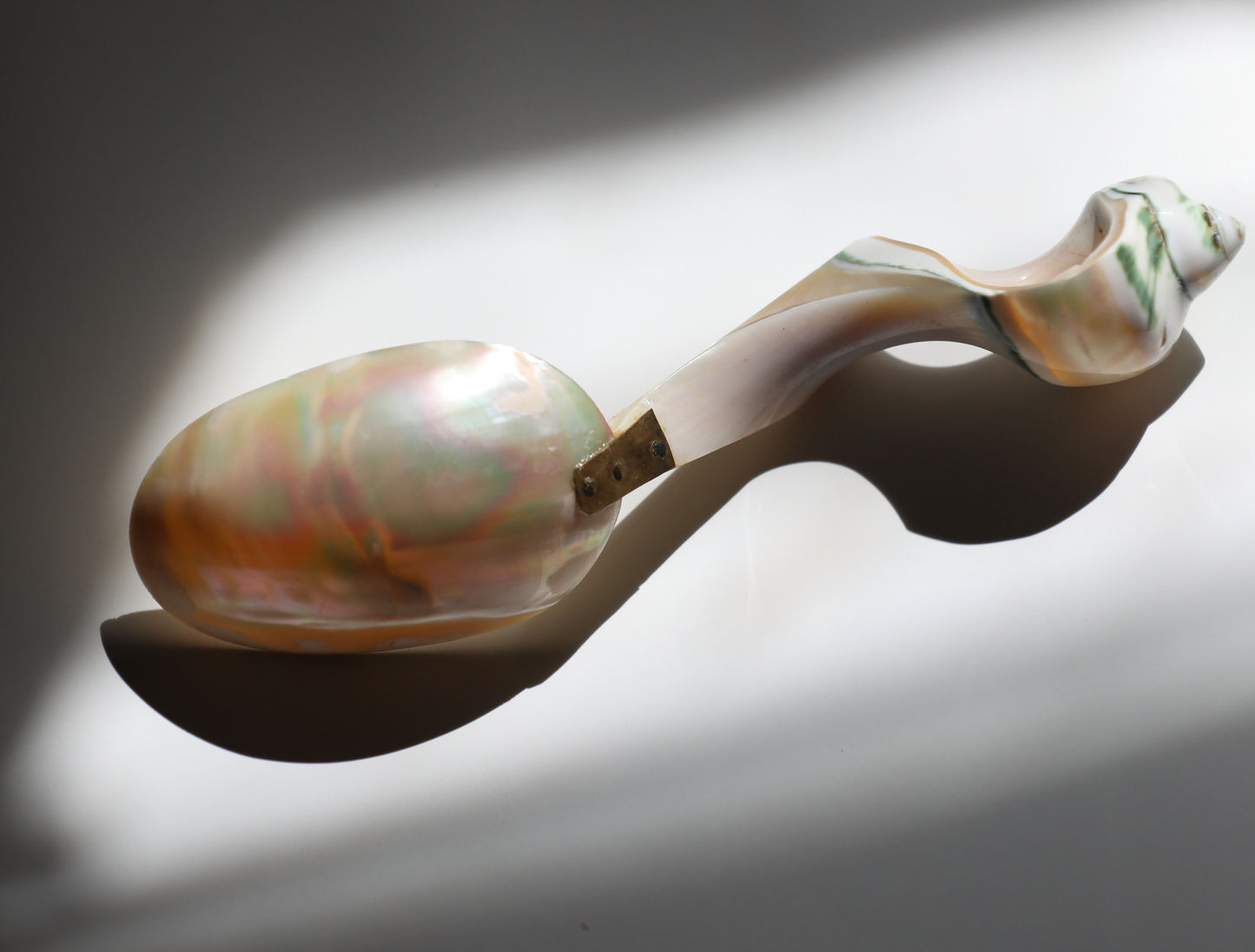 Vintage Turbo Shell Serving Spoon