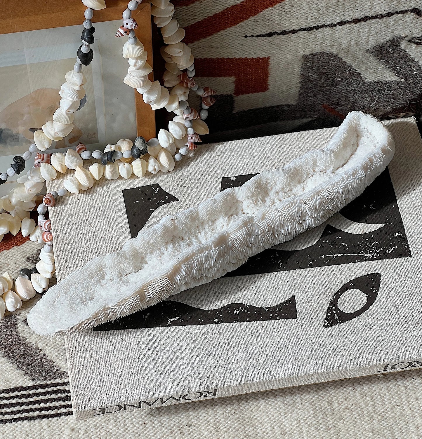 Antique Coral Specimen