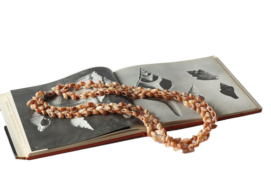 Partula Snail (Akaleha) Shell Lei