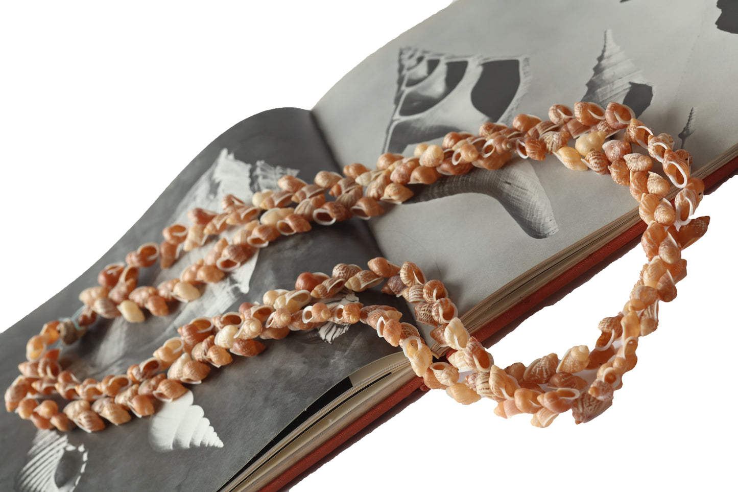 Partula Snail (Akaleha) Shell Lei