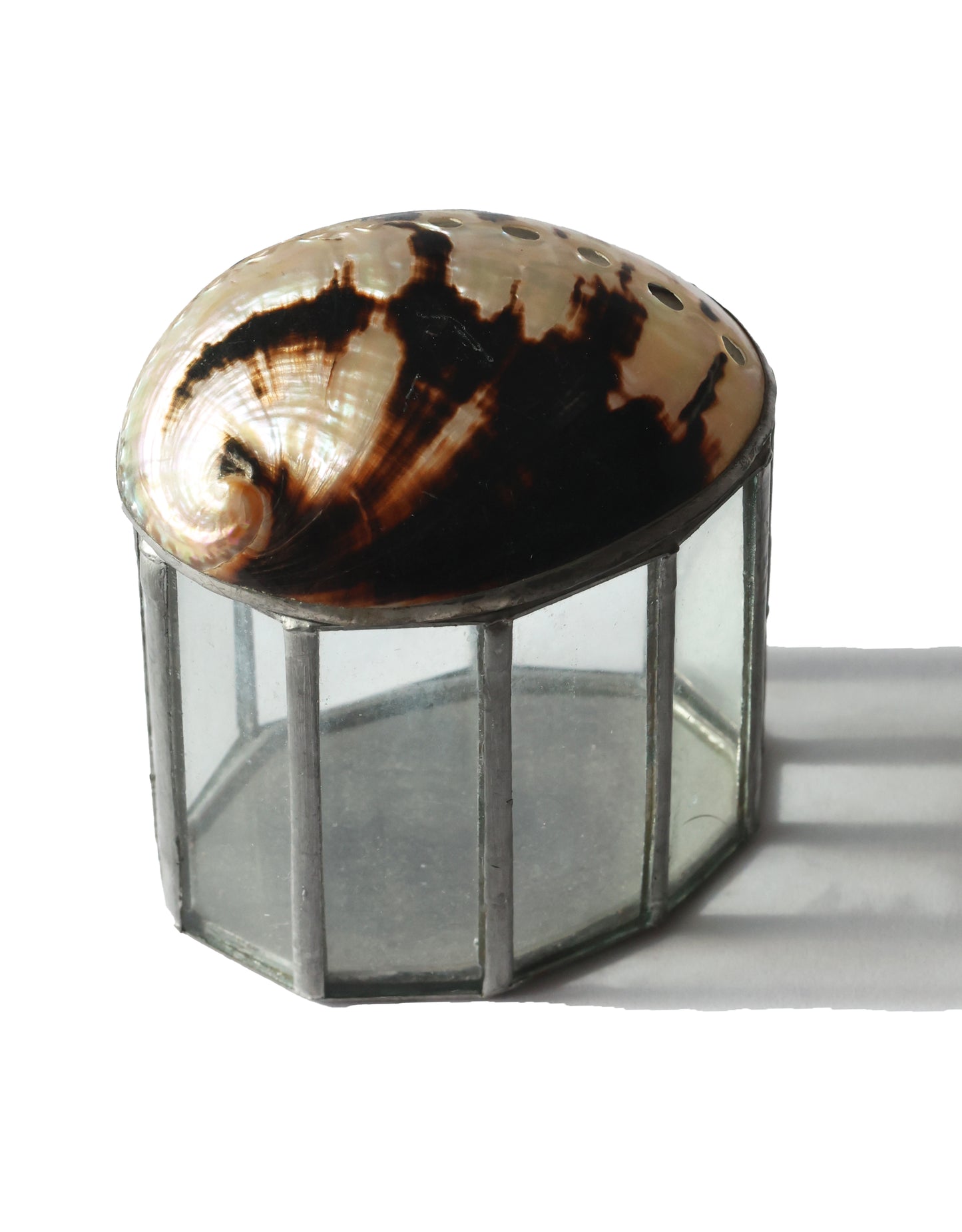 Abalone Shell Glass Box