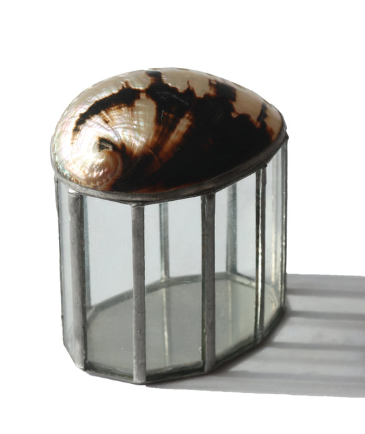 Abalone Shell Glass Box