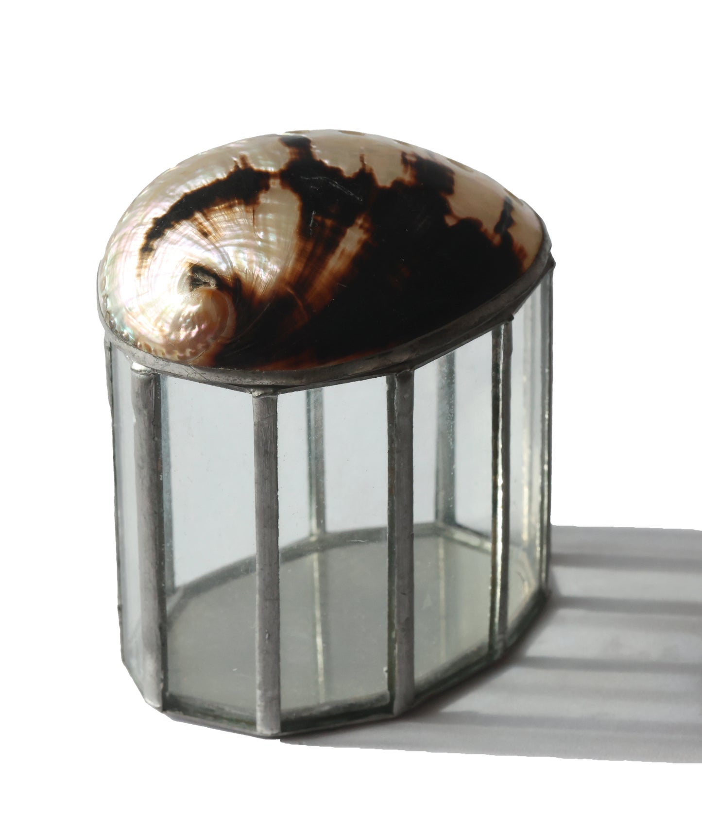 Abalone Shell Glass Box