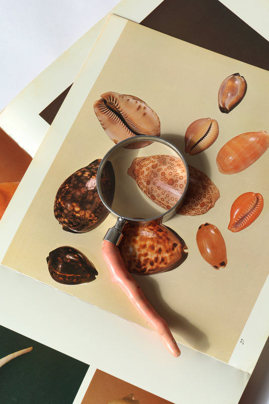 RARE Antique Coral Magnifying Glass