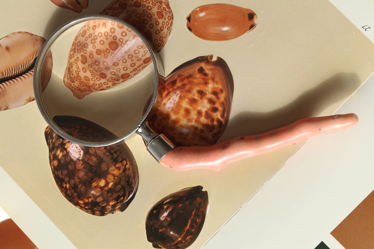 RARE Antique Coral Magnifying Glass