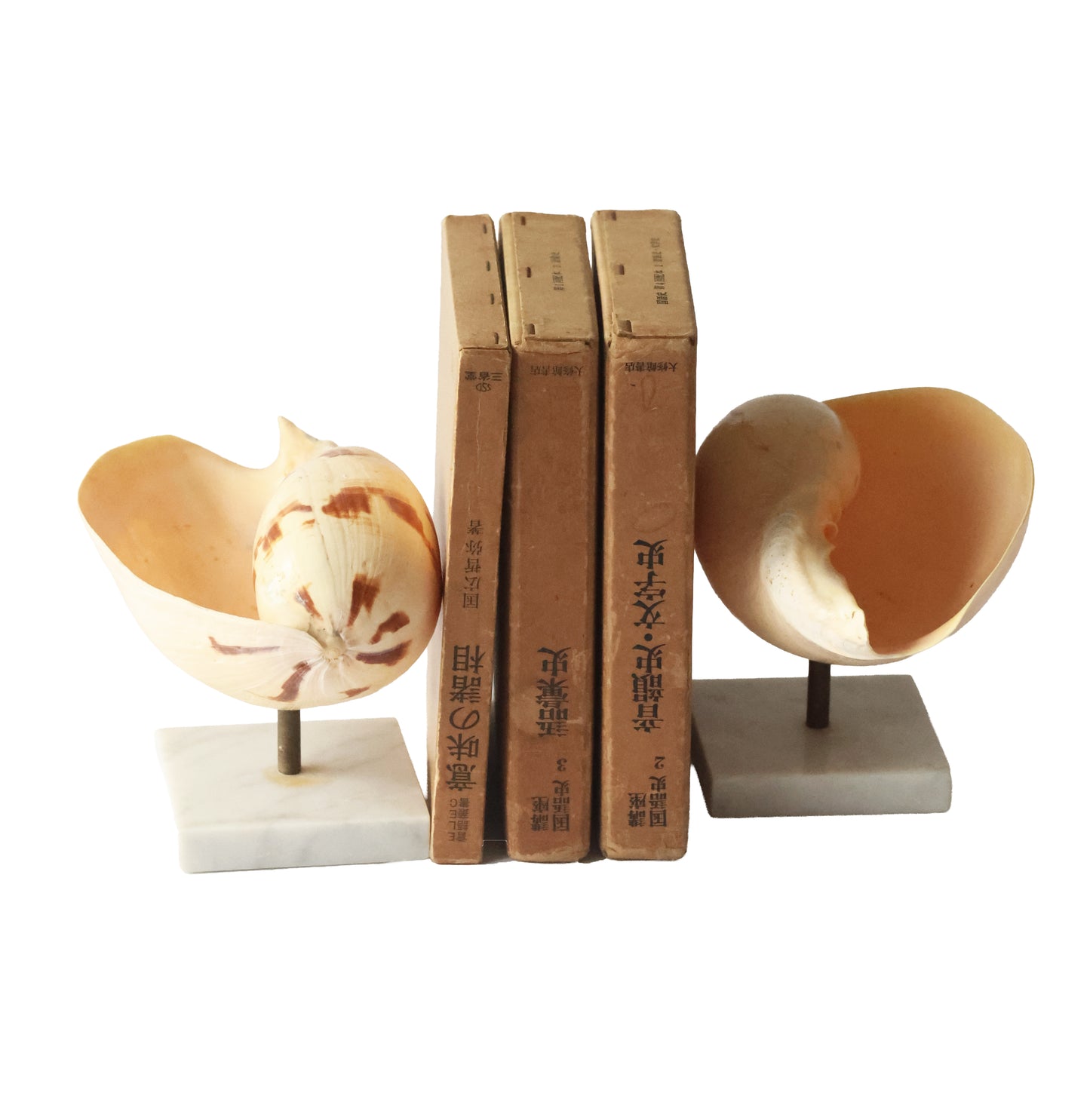 RARE Vintage Shell Pedestal Set