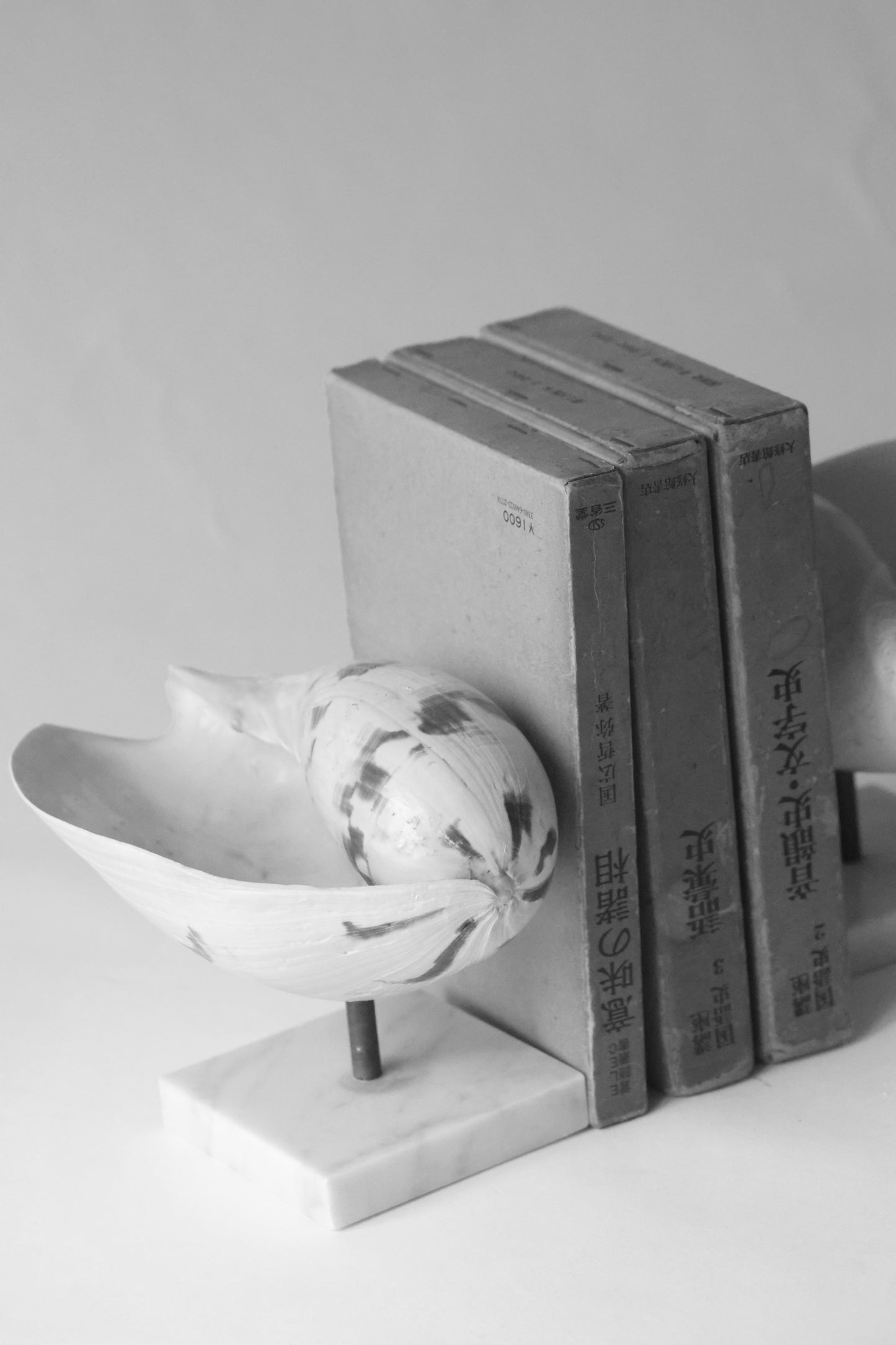 RARE Vintage Shell Pedestal Set