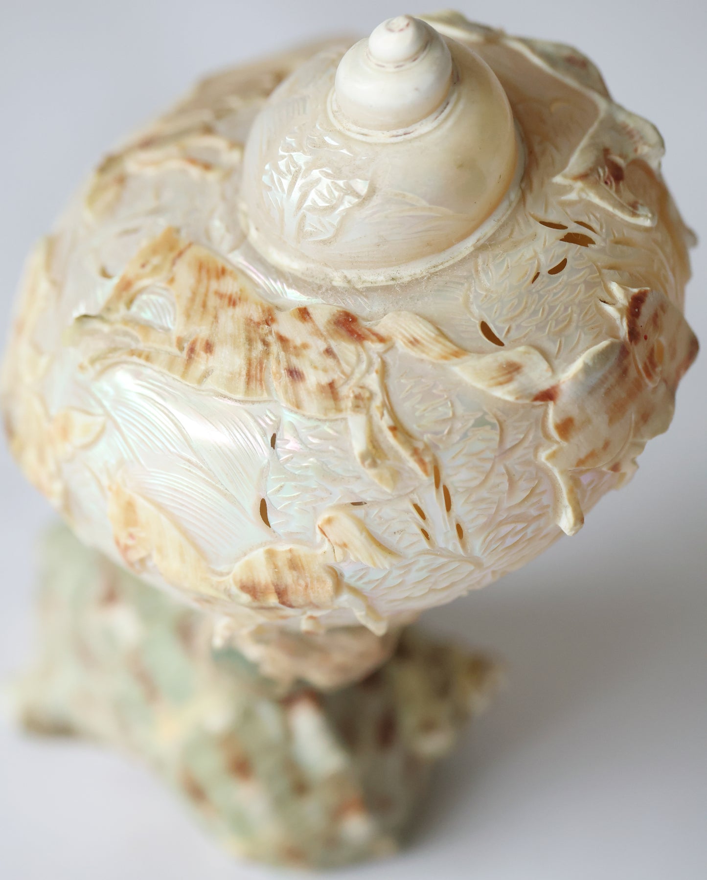 Antique Turbo Horse Carved Shell Lamp