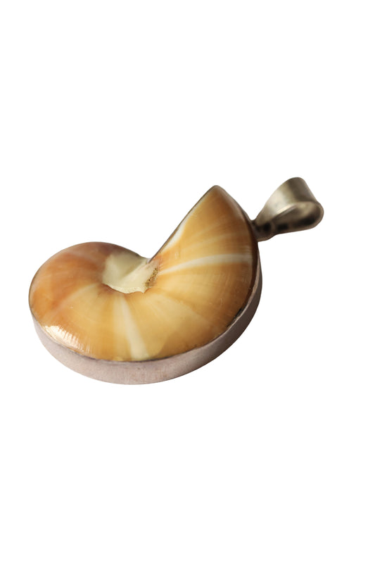 Vintage Sterling Silver Mounted Shell Pendant