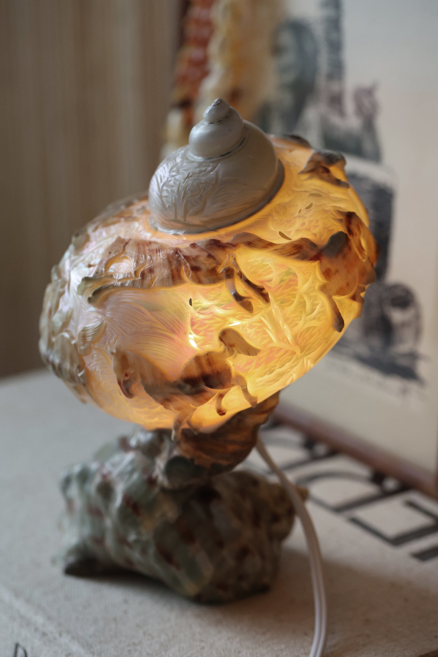 Antique Turbo Horse Carved Shell Lamp