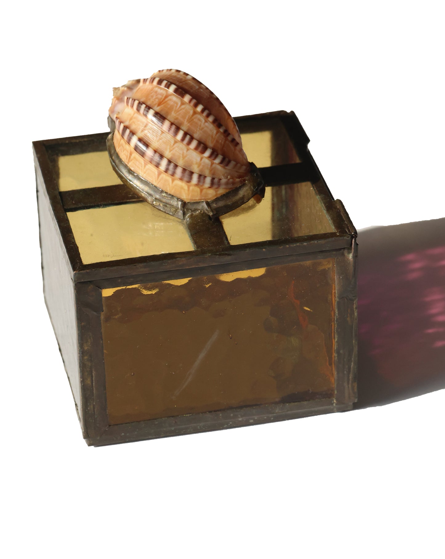 RARE 1980s Harp Shell Stained Glass Box