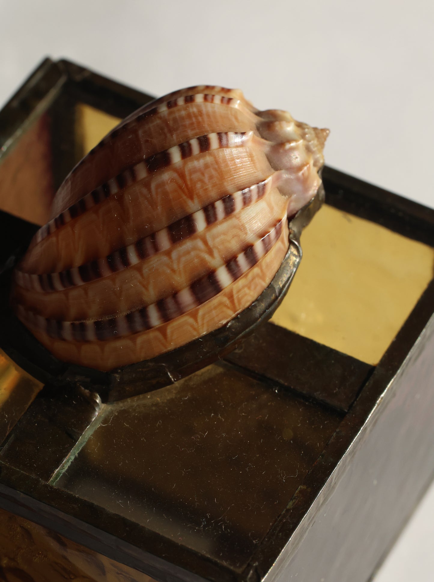 RARE 1980s Harp Shell Stained Glass Box