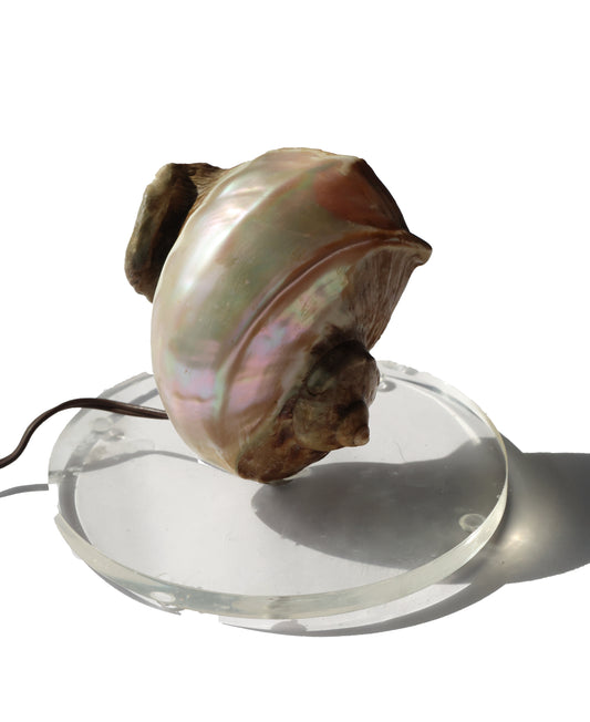 Mid Century Turbo Shell Lamp