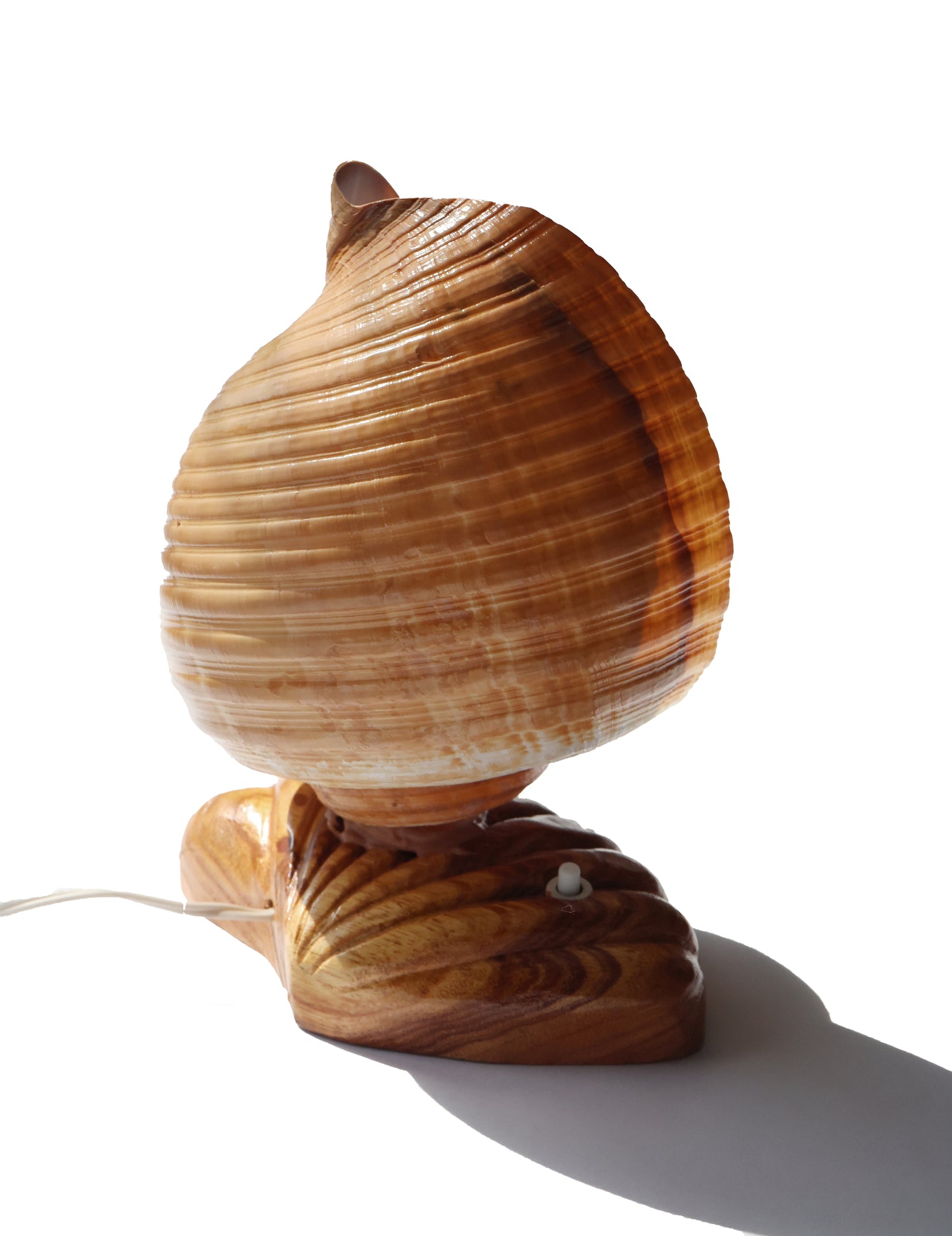 Vintage Giant Tonna Shell Lamp