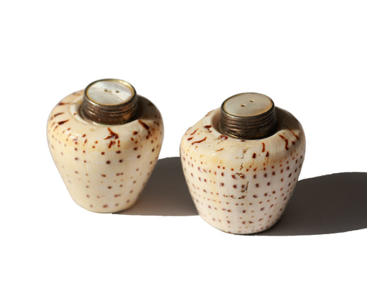 Vintage Flea Cone Shell S&P Shakers