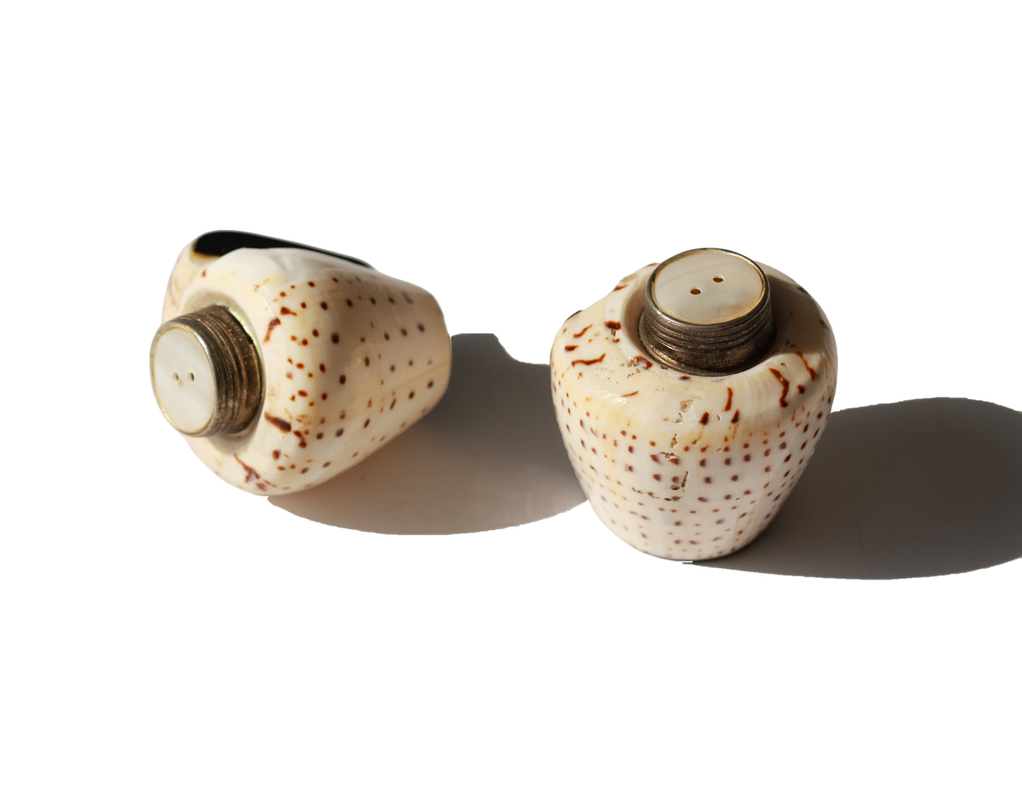 Vintage Flea Cone Shell S&P Shakers