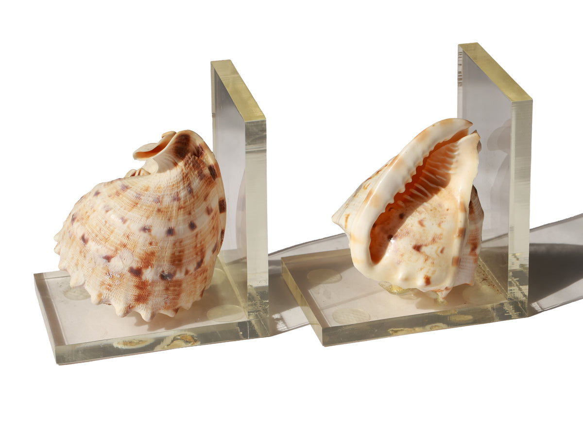 Vintage Conch Shell Acrylic Bookend