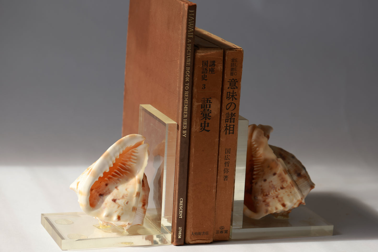 Vintage Conch Shell Acrylic Bookend