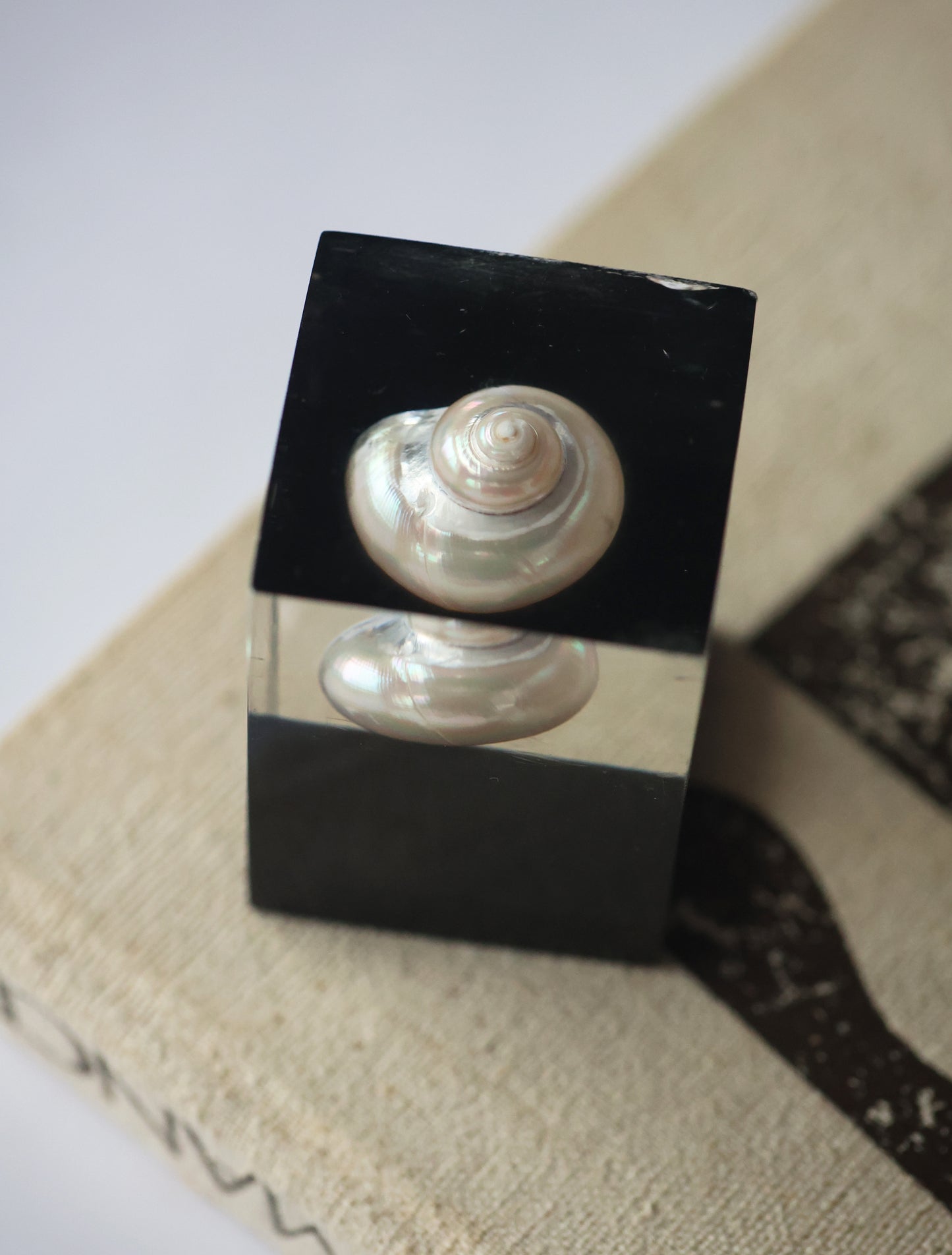 Vintage Shell Acrylic Paperweight