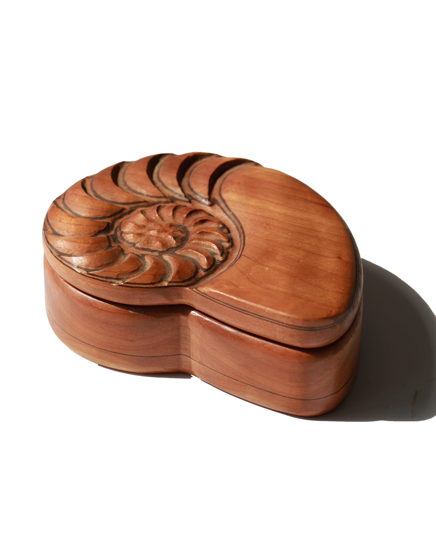 Vintage Nautilus Shell Wooden Keepsake Box