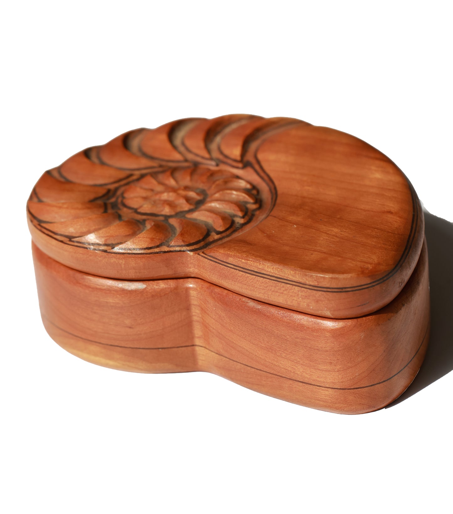 Vintage Nautilus Shell Wooden Keepsake Box