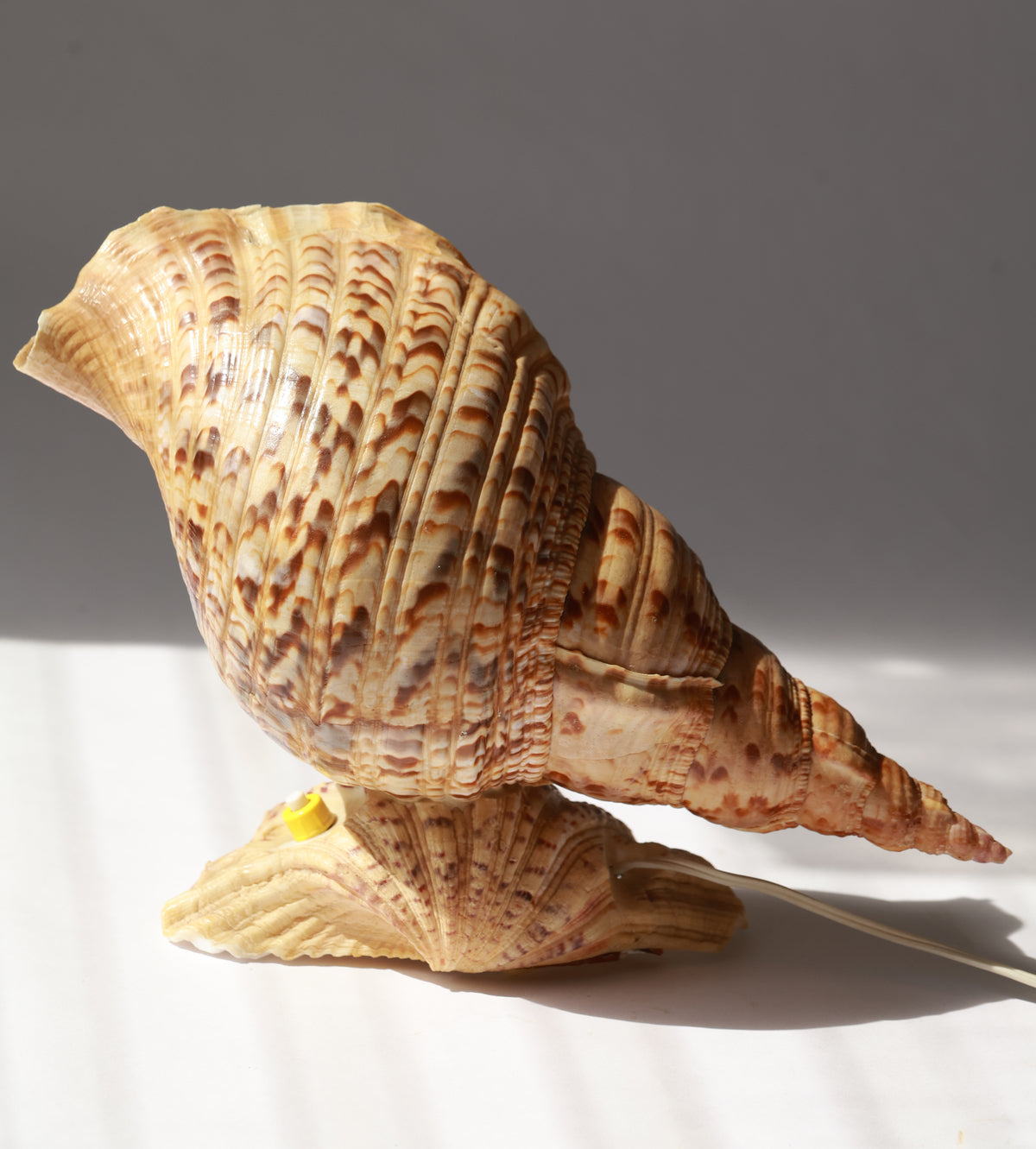 1980s Trumpet Triton Conch Shell Lamp