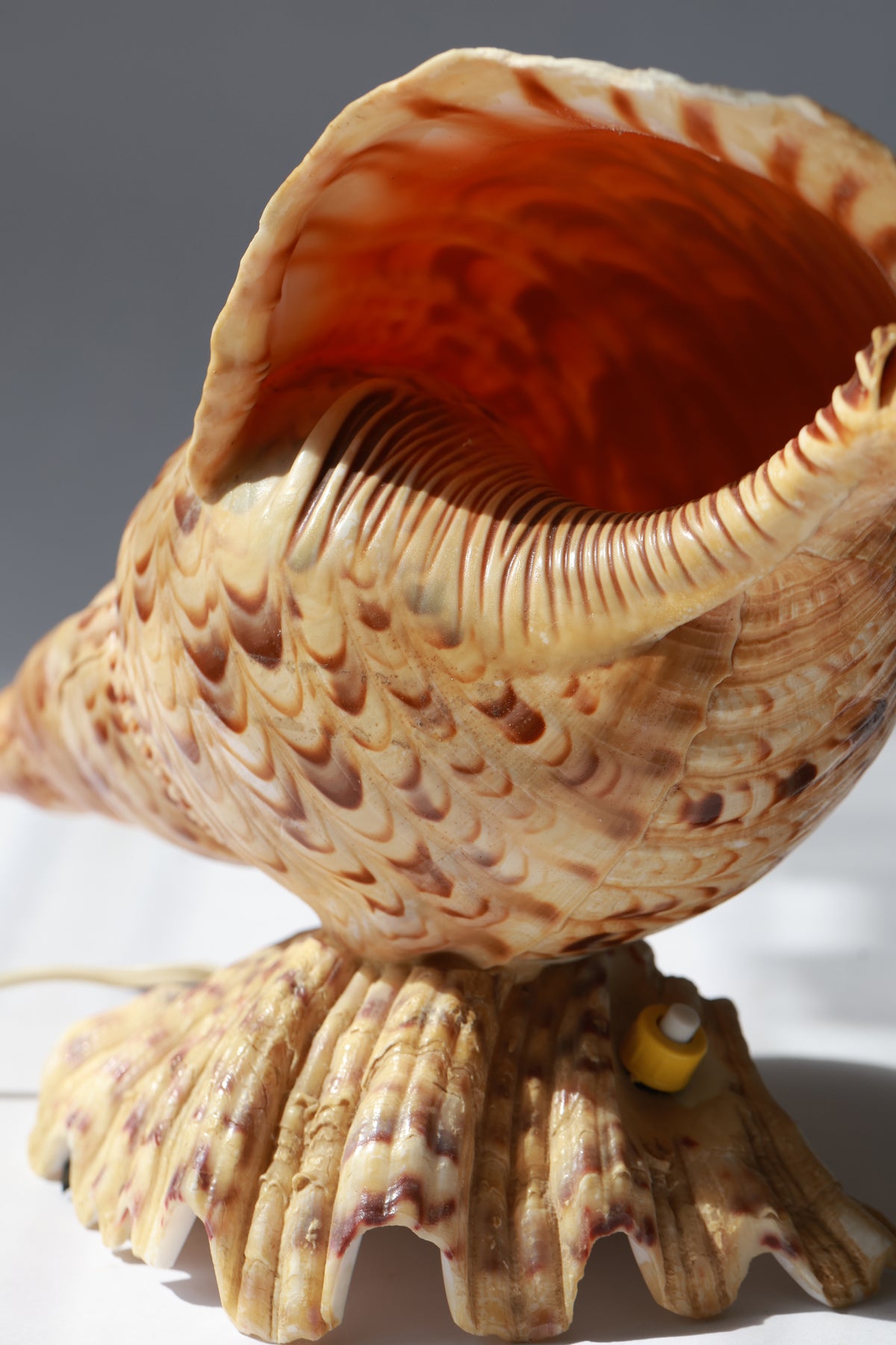 1980s Trumpet Triton Conch Shell Lamp